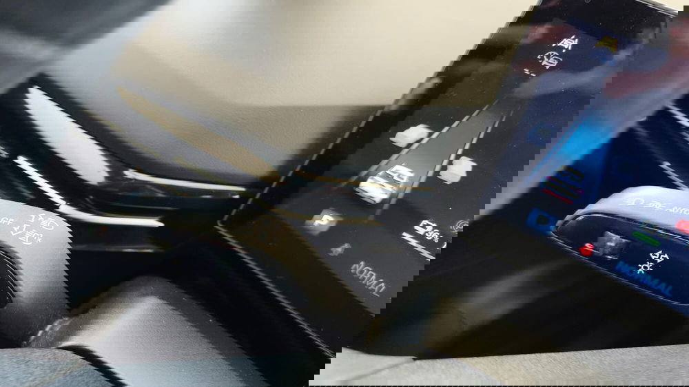 Mg MG4 usata a Firenze (18)