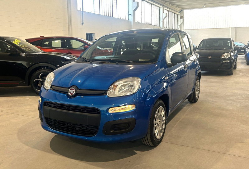 Fiat Panda nuova a Torino (2)