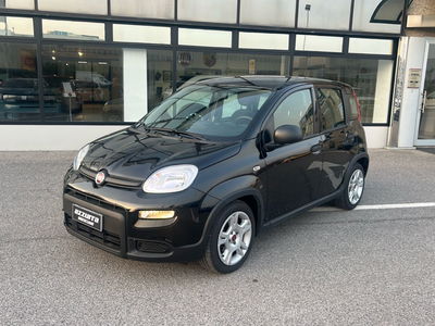 Fiat Panda Cross Cross 1.0 FireFly S&amp;S Hybrid del 2024 usata a Verdello