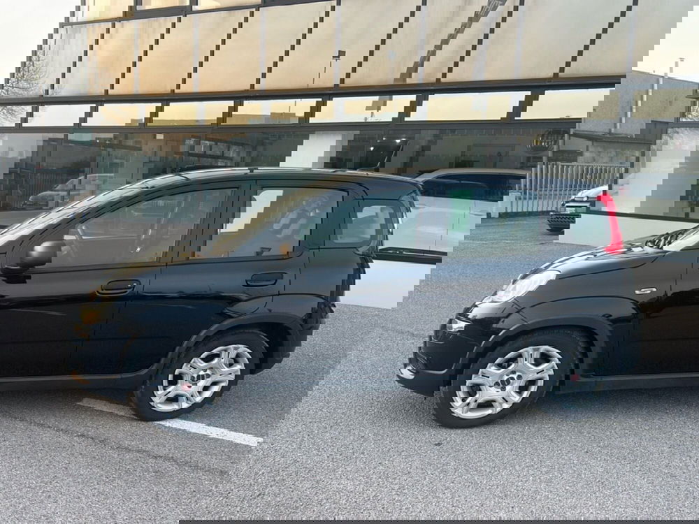 Fiat Panda Cross usata a Bergamo (2)