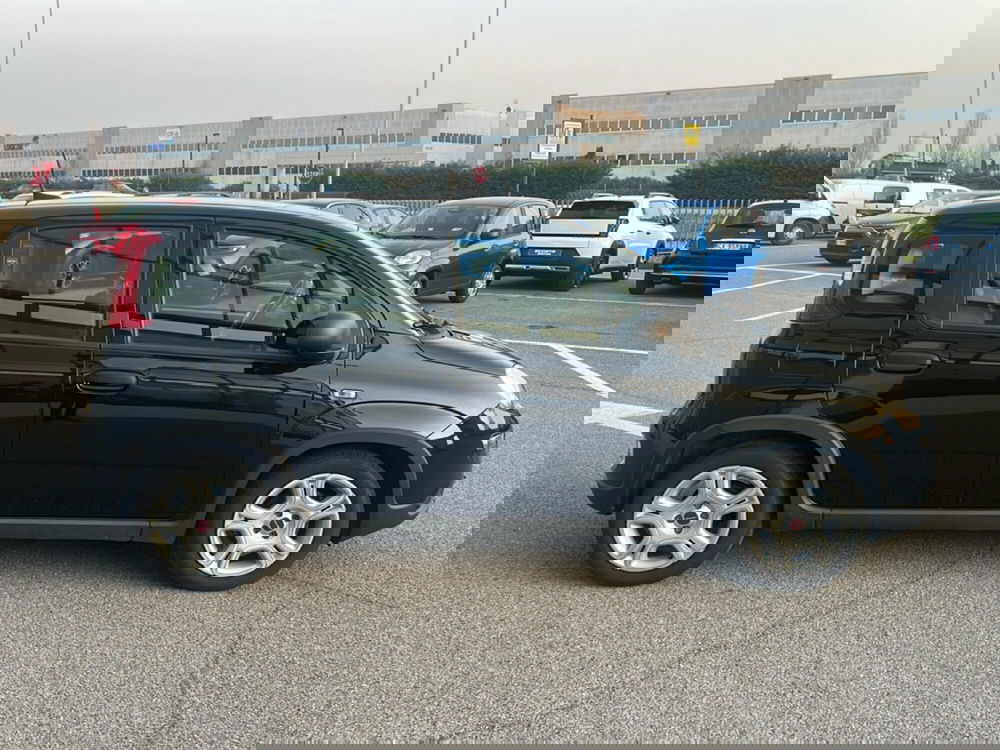 Fiat Panda Cross usata a Bergamo (6)