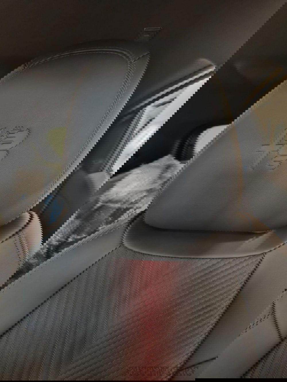 Alfa Romeo Junior nuova a Varese (14)