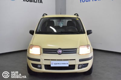 Fiat Panda 1.2 Dynamic Natural Power del 2009 usata a Foligno