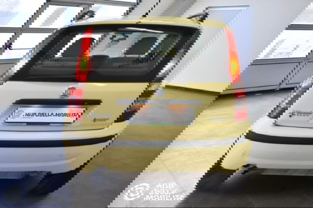 Fiat Panda usata a Perugia (5)