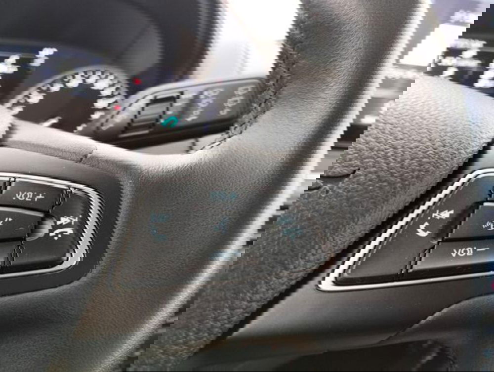 Ford EcoSport usata a Como (11)