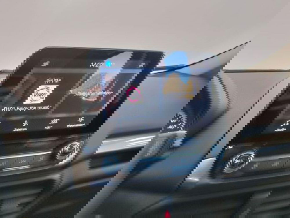 Ford EcoSport usata a Como (13)