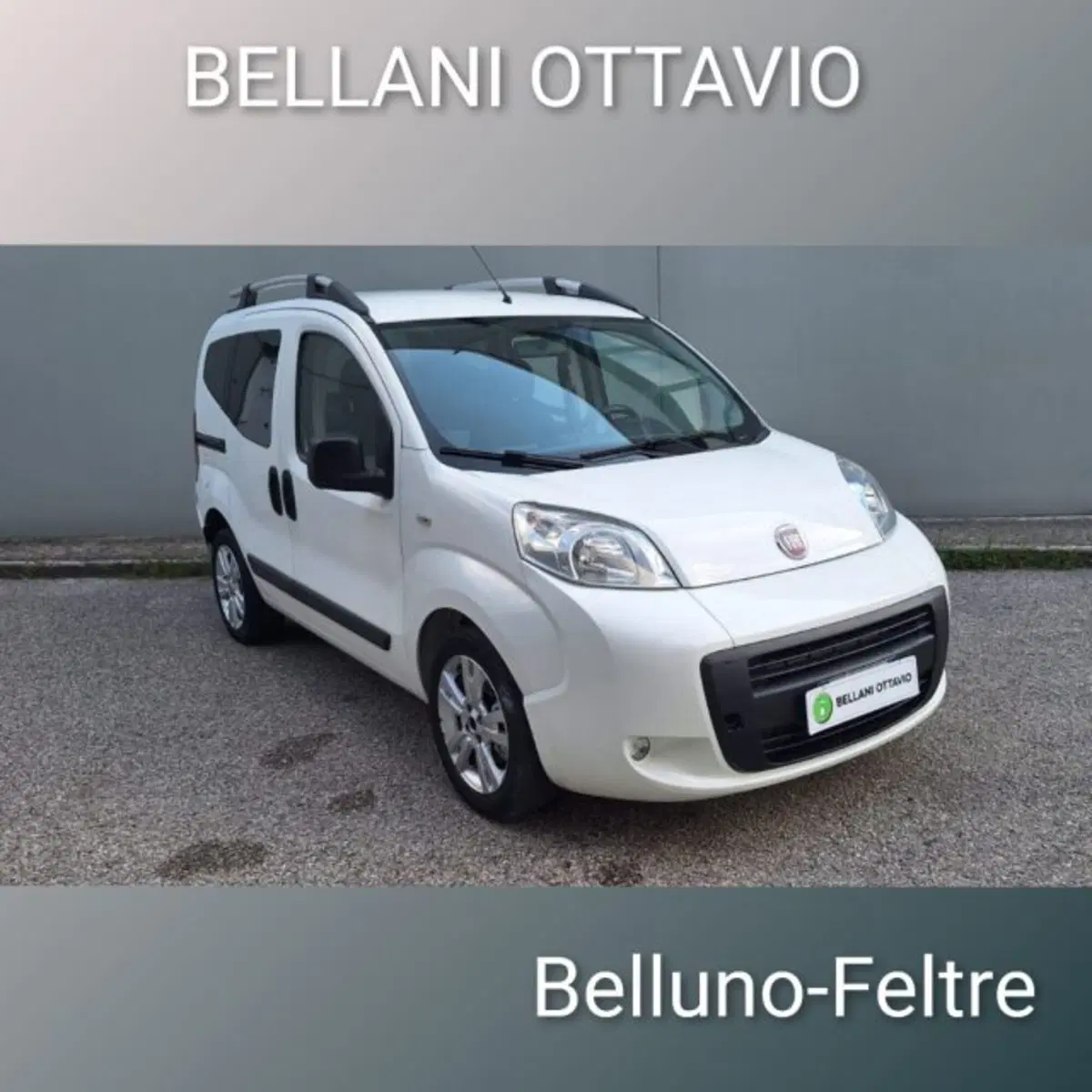 Fiat Qubo usata a Belluno