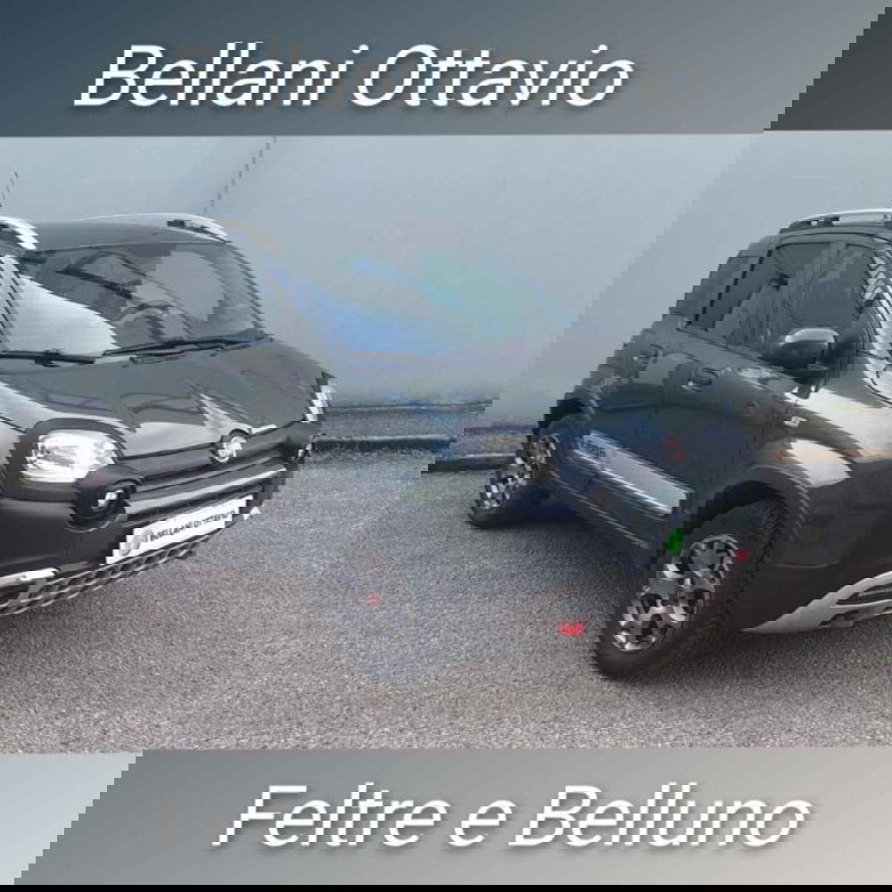 Fiat Panda Cross usata a Belluno