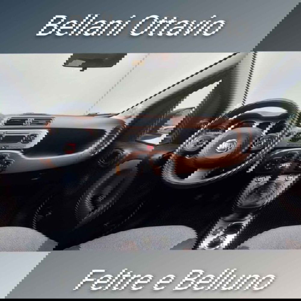 Fiat Panda Cross usata a Belluno (10)