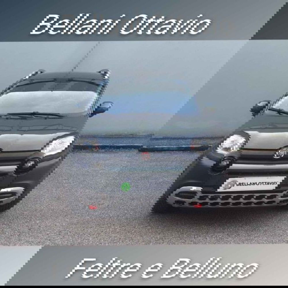 Fiat Panda Cross usata a Belluno (2)