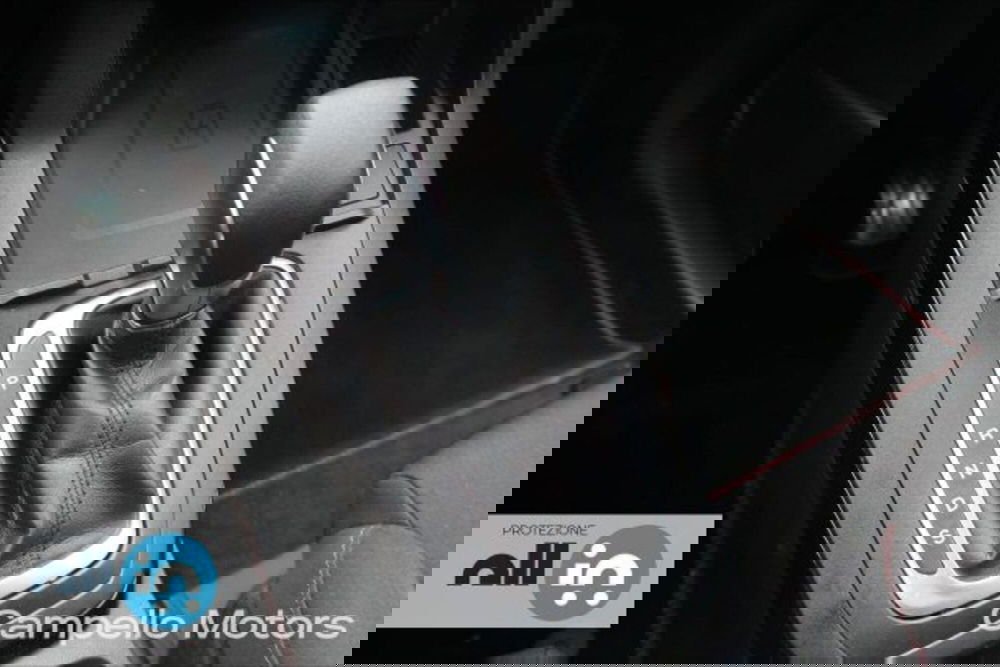 Ford Puma usata a Venezia (13)