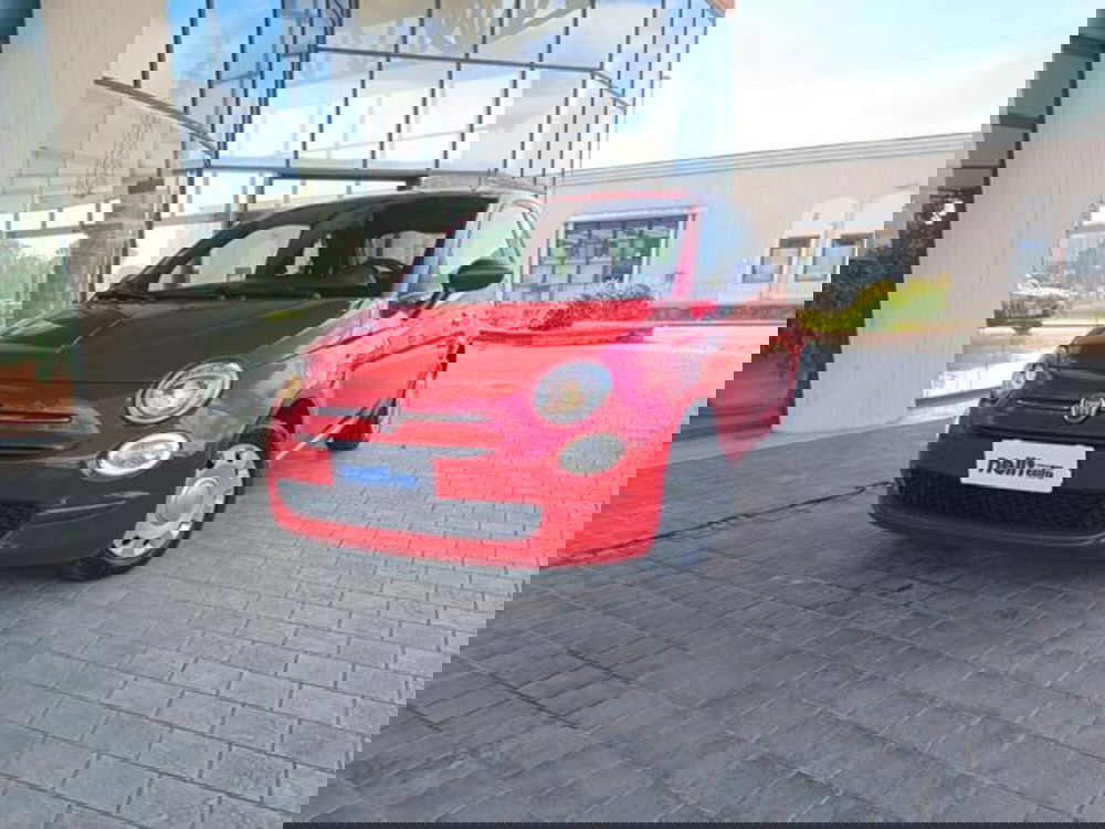 Fiat 500 usata a Pisa