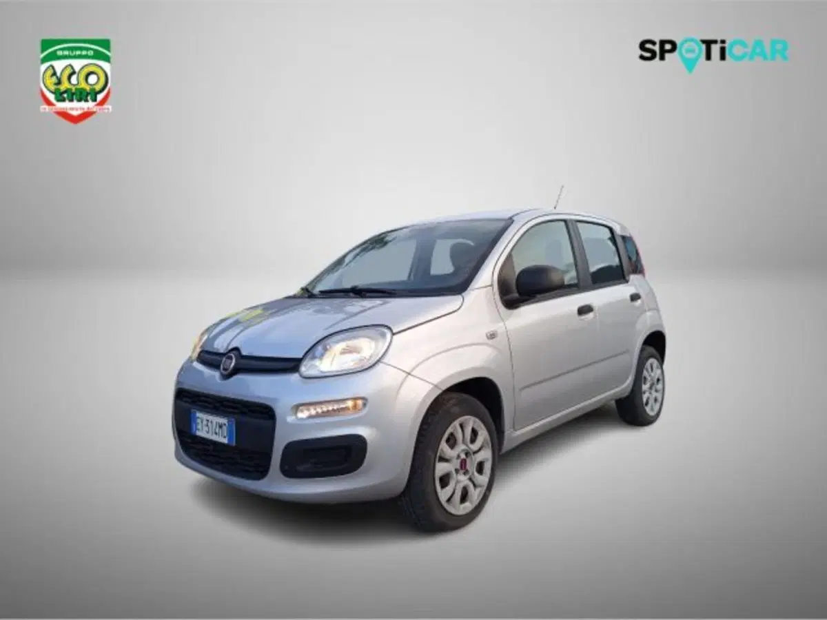 Fiat Panda usata a Frosinone