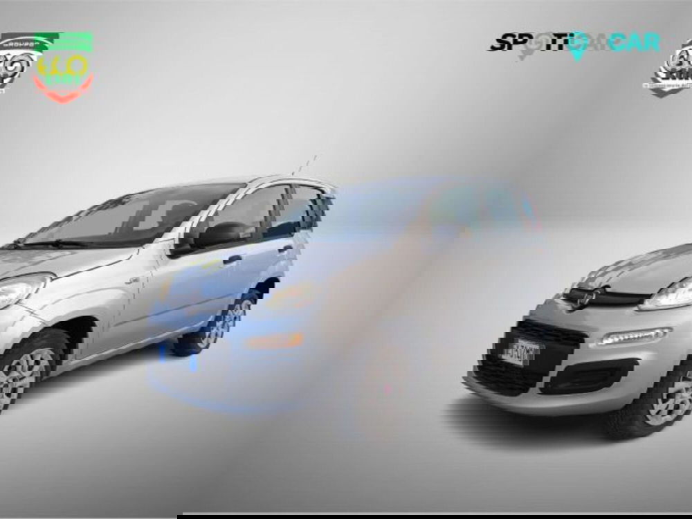 Fiat Panda usata a Frosinone