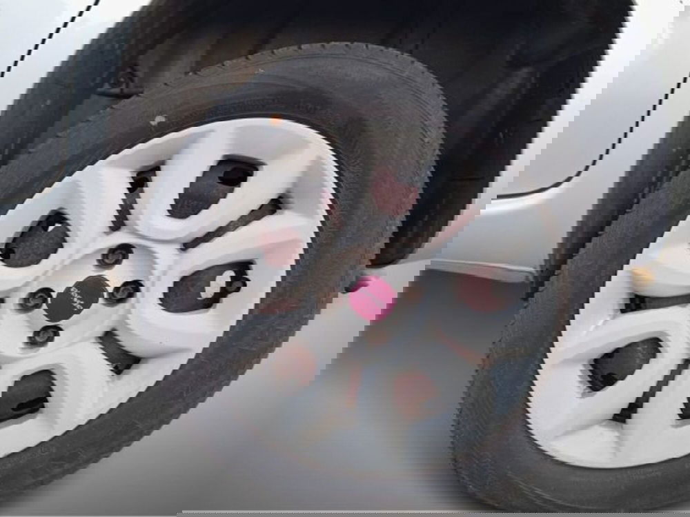 Fiat Panda usata a Frosinone (7)