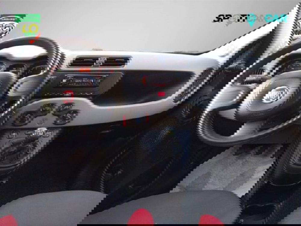 Fiat Panda usata a Frosinone (9)