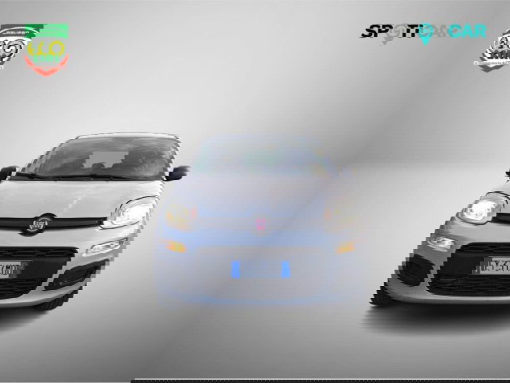 Fiat Panda usata a Frosinone (2)