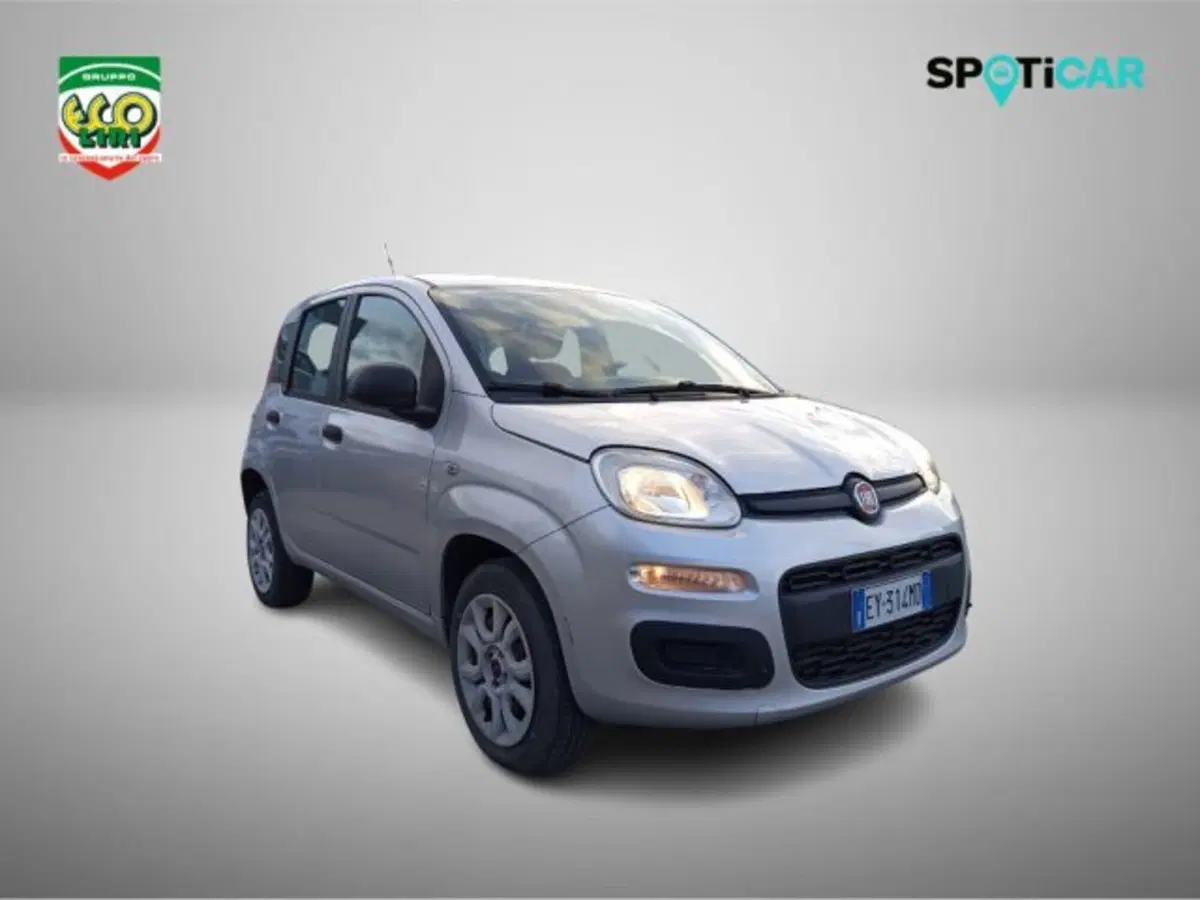 Fiat Panda usata a Frosinone (3)