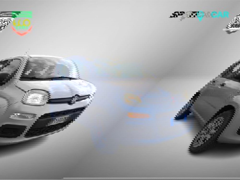 Fiat Panda usata a Frosinone (3)
