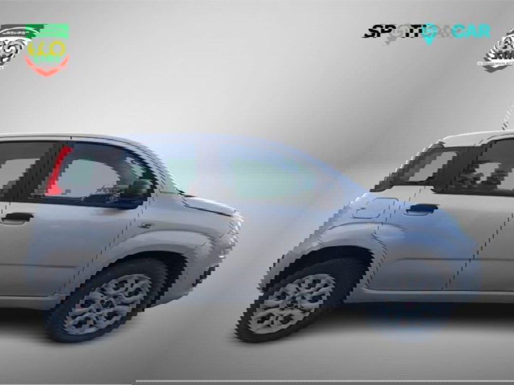 Fiat Panda usata a Frosinone (4)