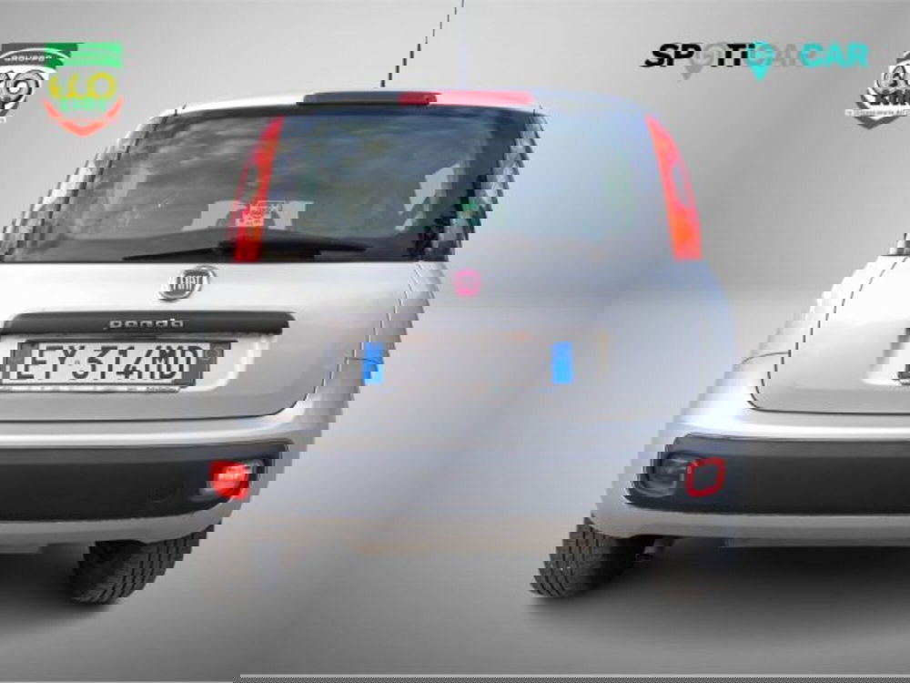 Fiat Panda usata a Frosinone (5)