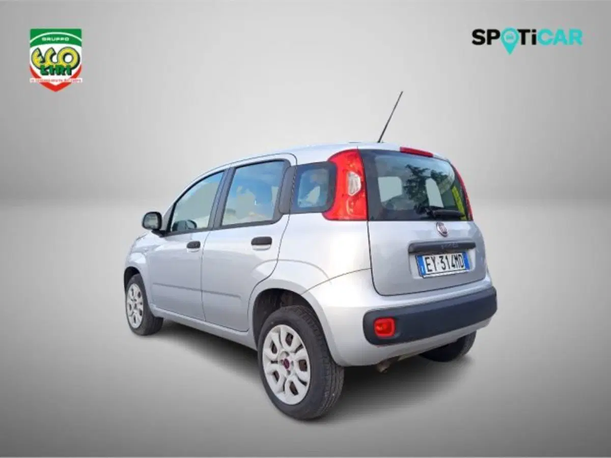 Fiat Panda usata a Frosinone (6)