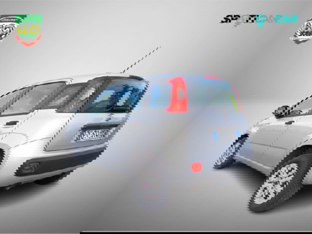 Fiat Panda usata a Frosinone (6)