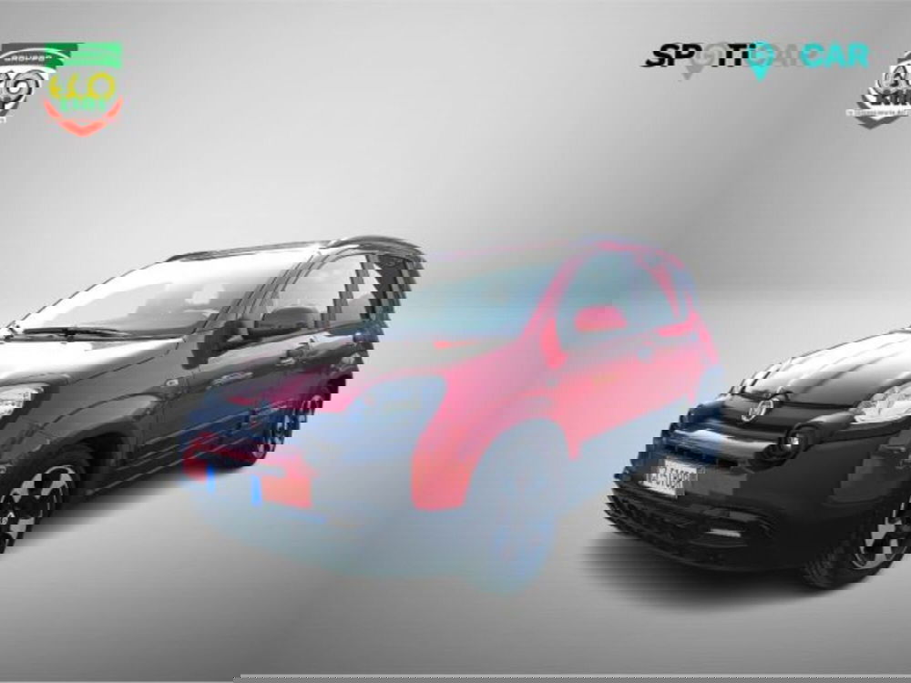 Fiat Panda Cross usata a Frosinone