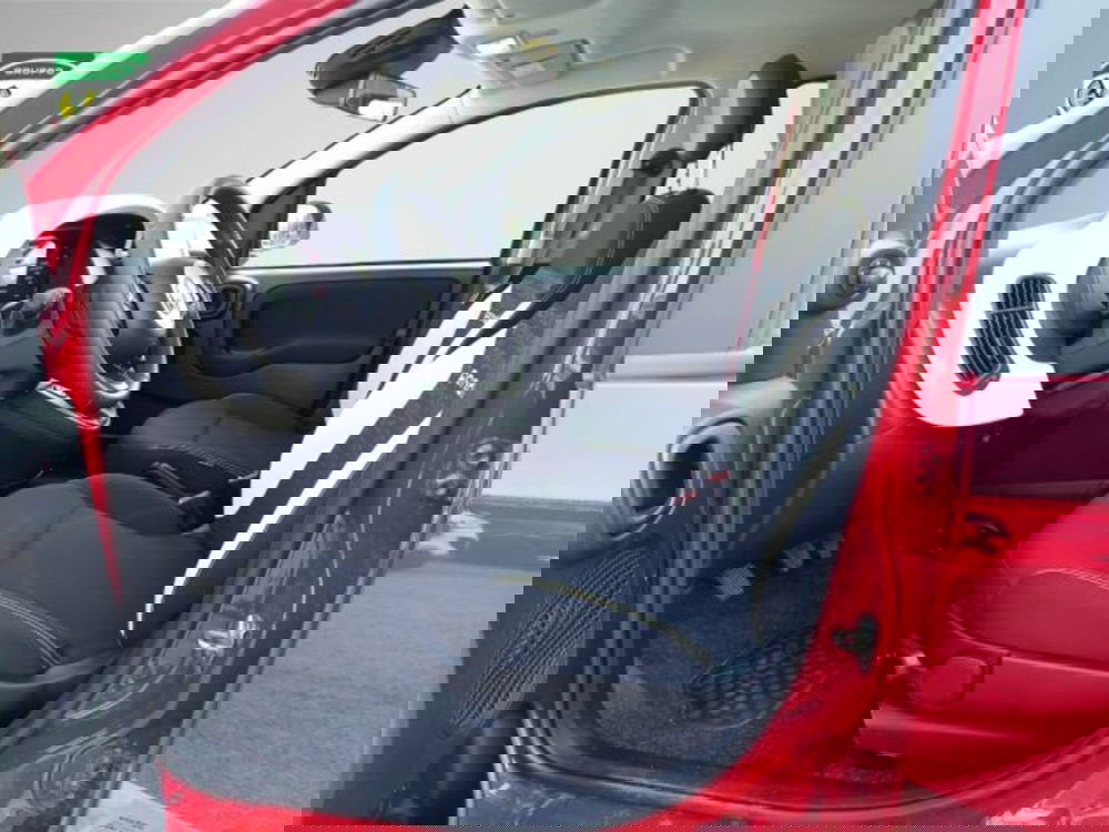 Fiat Panda Cross usata a Frosinone (8)