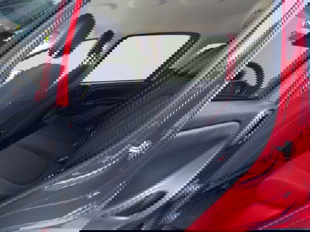 Fiat Panda Cross usata a Frosinone (9)