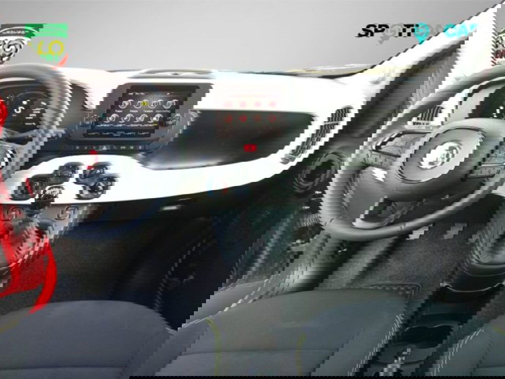 Fiat Panda Cross usata a Frosinone (10)