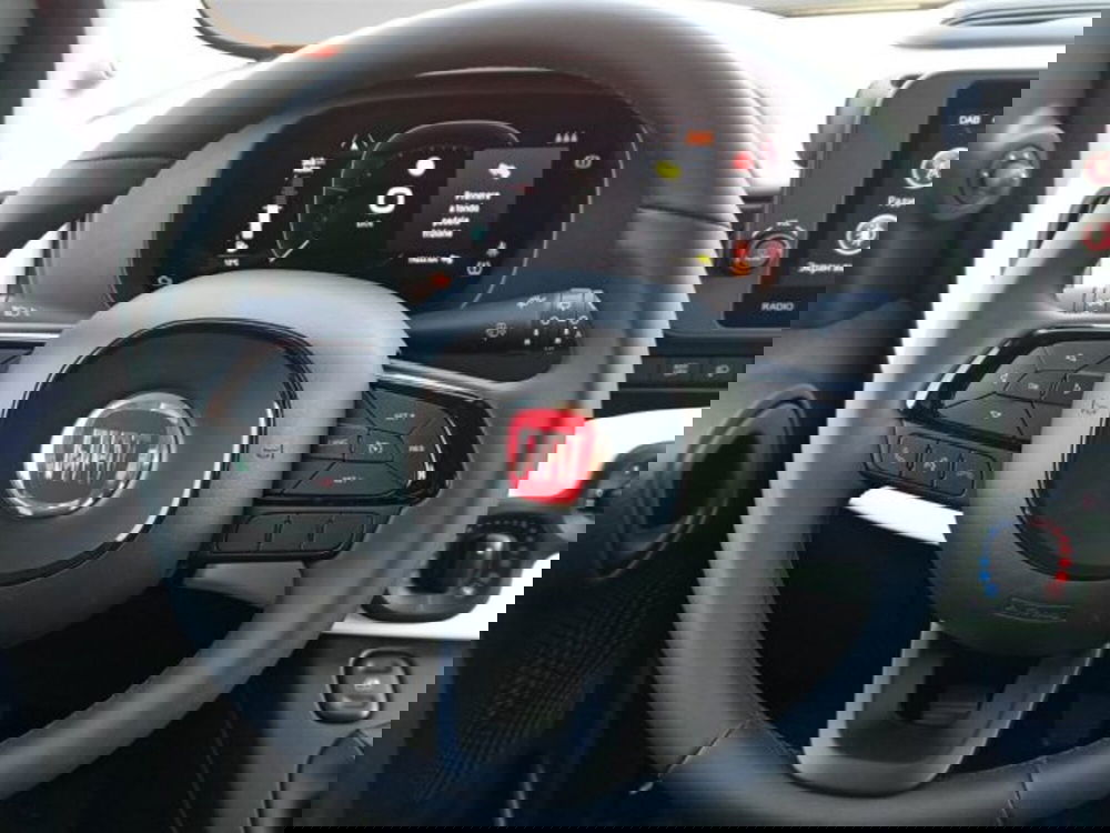 Fiat Panda Cross usata a Frosinone (11)