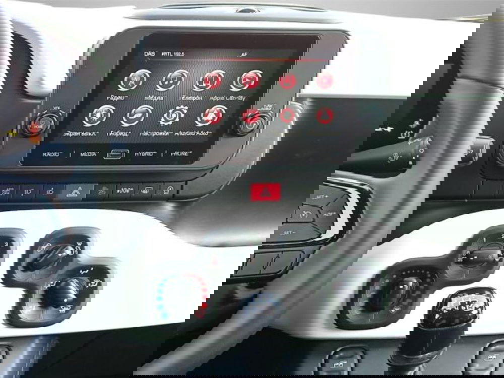 Fiat Panda Cross usata a Frosinone (13)