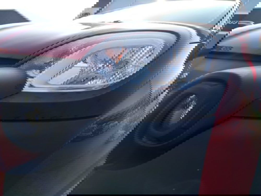 Fiat Panda Cross usata a Frosinone (15)