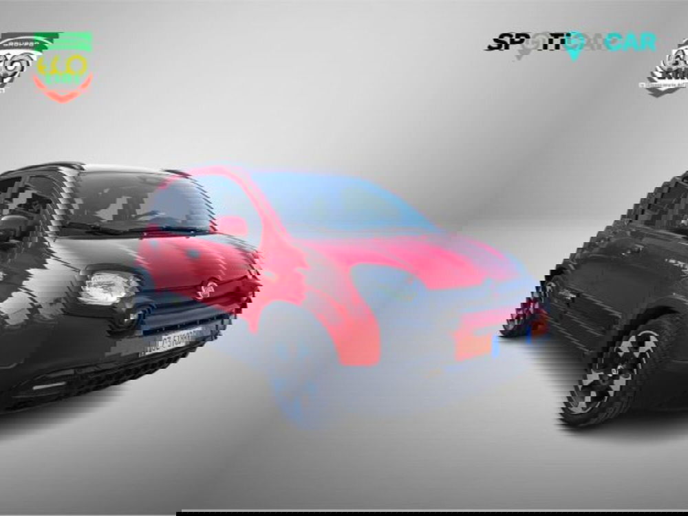 Fiat Panda Cross usata a Frosinone (3)