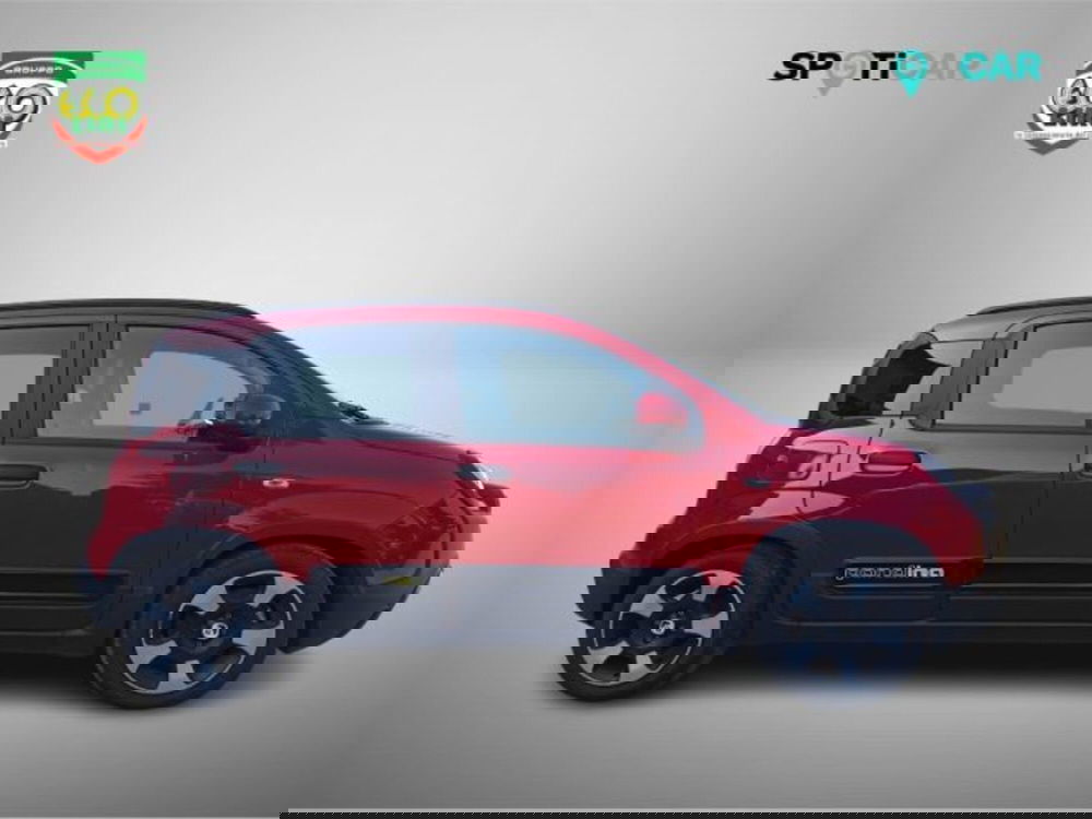 Fiat Panda Cross usata a Frosinone (4)