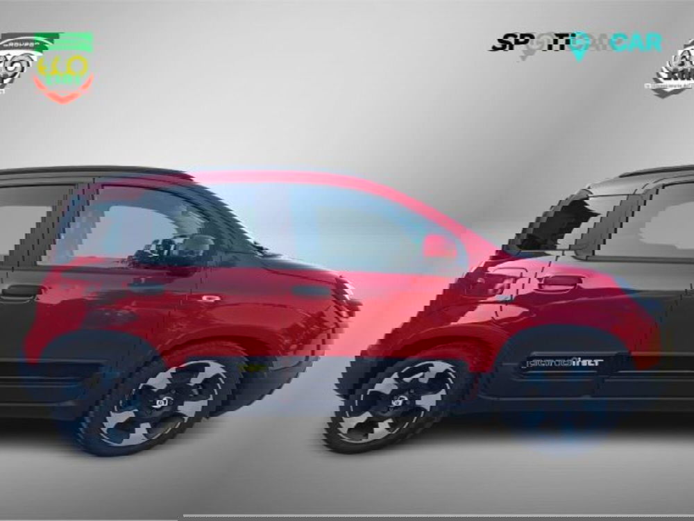 Fiat Panda Cross usata a Frosinone (5)