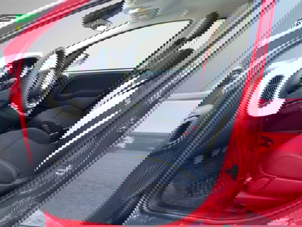 Fiat Panda Cross usata a Frosinone (7)