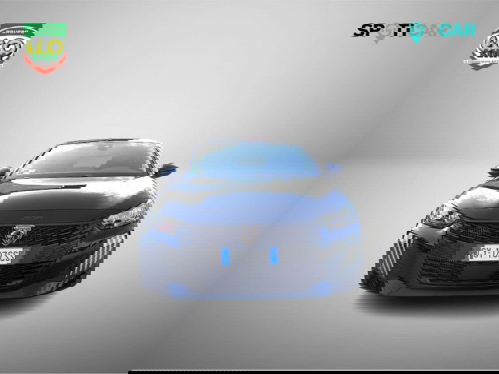 Peugeot 208 usata a Frosinone (2)