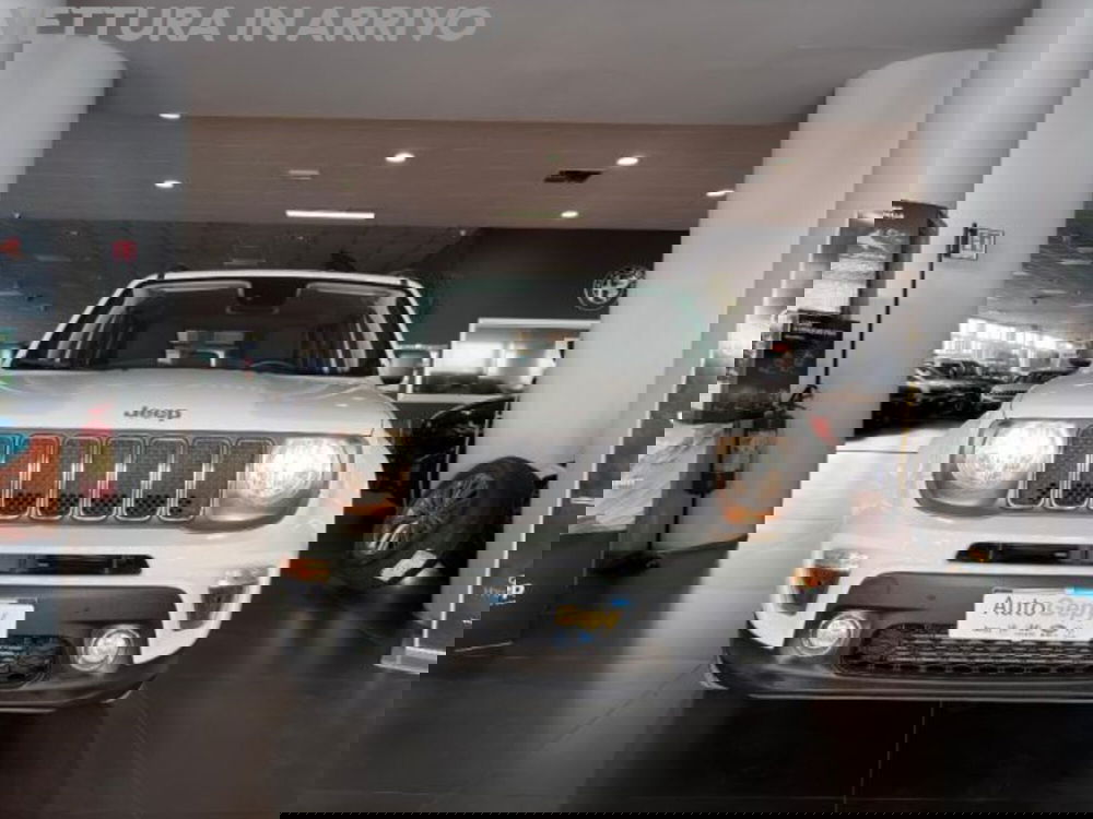 Jeep Renegade usata a Modena (15)