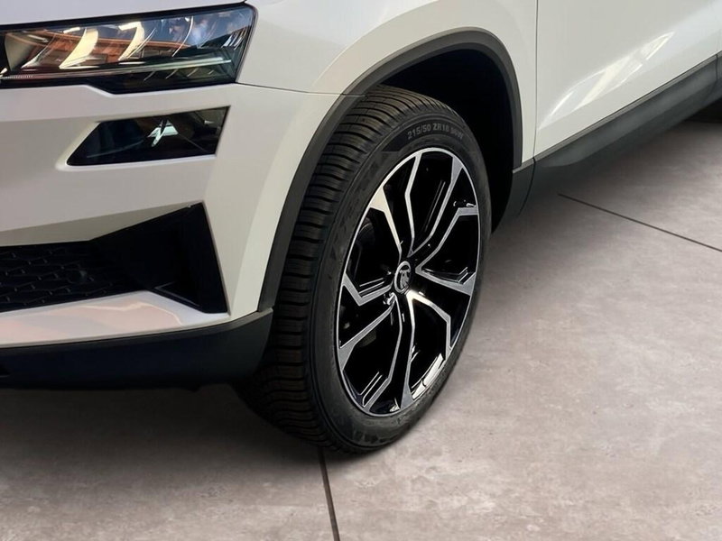 Skoda Karoq usata a Torino (15)