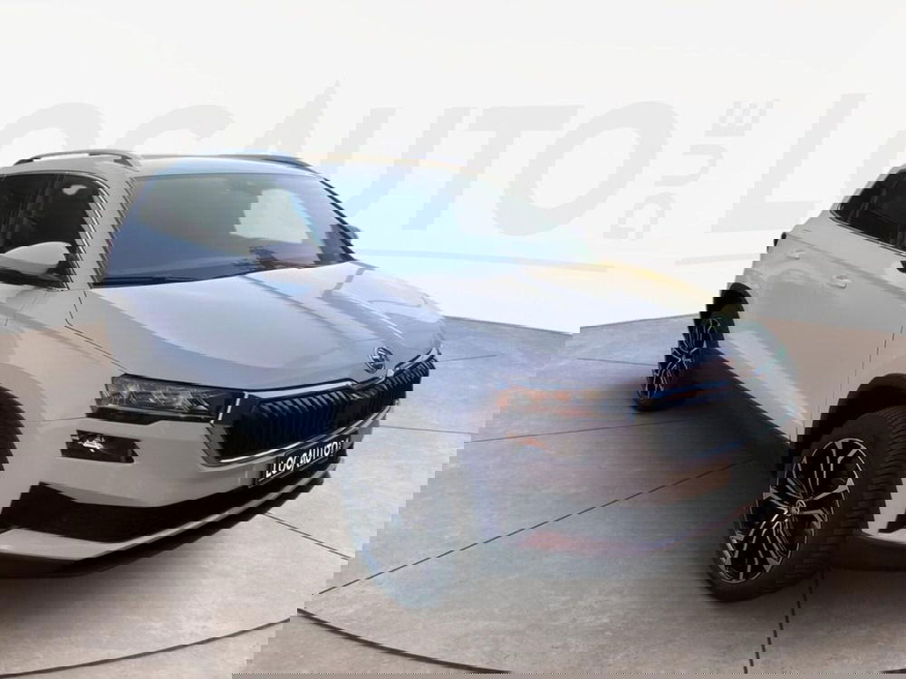 Skoda Karoq usata a Torino (3)