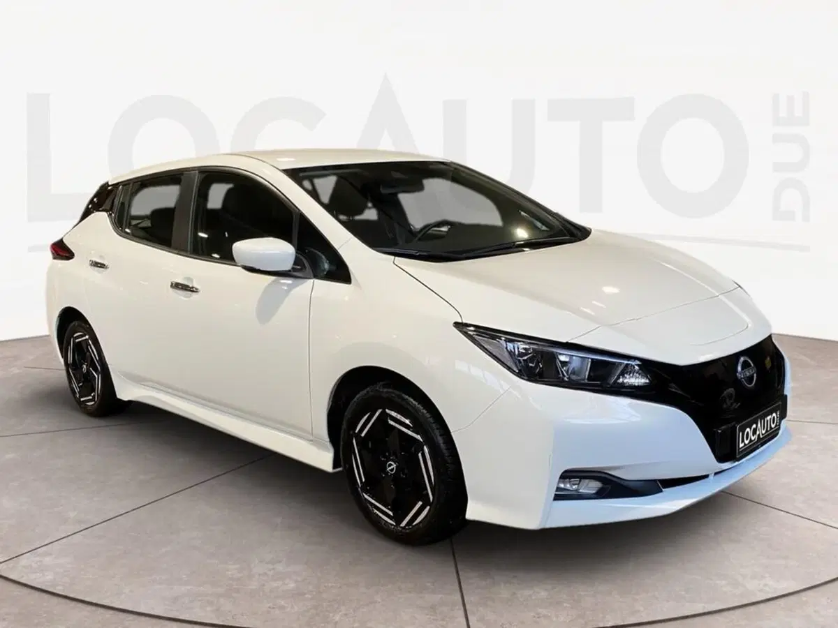 Nissan Leaf usata a Torino (3)