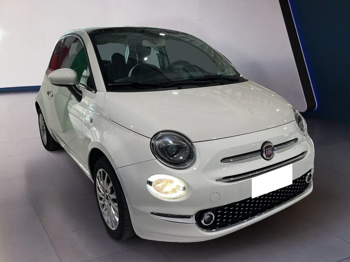Fiat 500 usata a Torino (2)