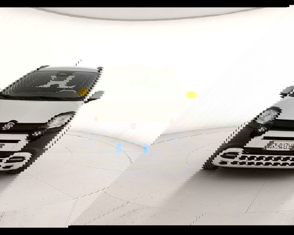 Fiat Pandina usata a Caserta (2)