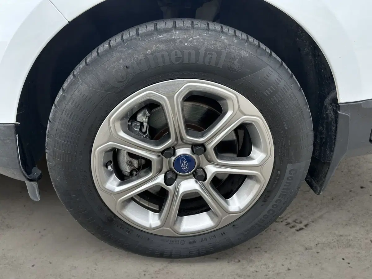 Ford EcoSport usata a Pistoia (14)