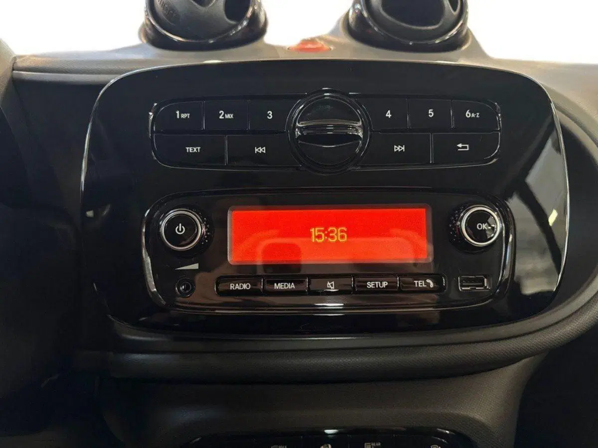 smart Fortwo usata a Rimini (15)