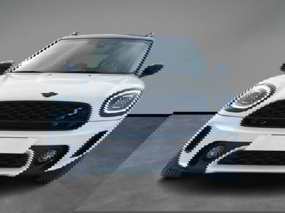 MINI Mini Countryman usata a Lecce (7)