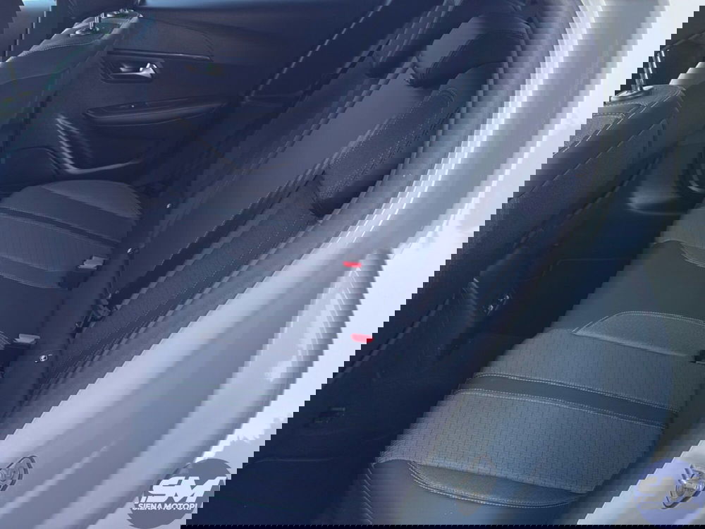 Peugeot 208 usata a Firenze (19)