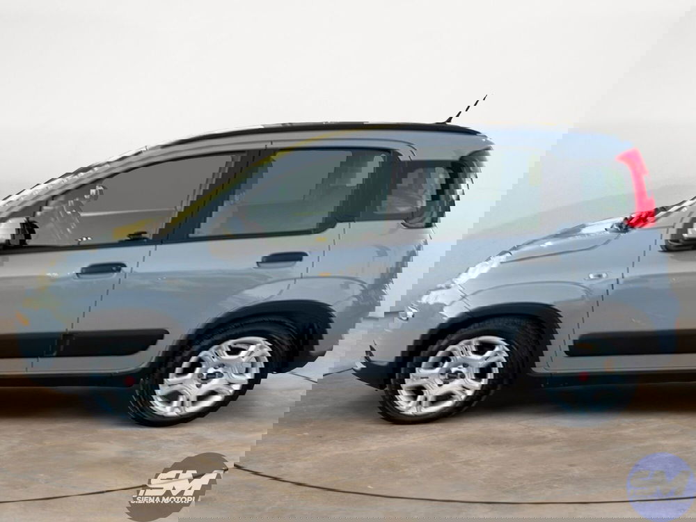 Fiat Panda Cross usata a Firenze (2)